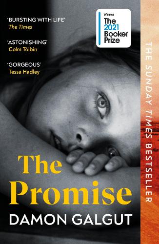 Front cover of the book 'The Promise' by Damon Galgut
